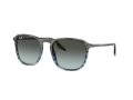 Ray-Ban Zonnebril RB 0RB2203 1391GK