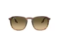 Ray-Ban Zonnebril RB 0RB2203 13920A