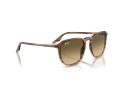 Ray-Ban Zonnebril RB 0RB2203 13920A