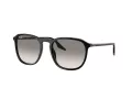 Ray-Ban Zonnebril RB 0RB2203 901/32