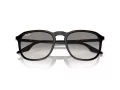 Ray-Ban Zonnebril RB 0RB2203 901/32