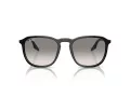 Ray-Ban Zonnebril RB 0RB2203 901/32