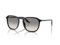 Ray-Ban Zonnebril RB 0RB2203 901/32