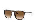 Ray-Ban Zonnebril RB 0RB2203 902/51