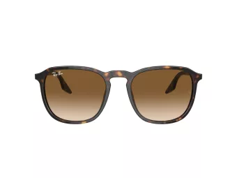 Ray-Ban Zonnebril RB 0RB2203 902/51