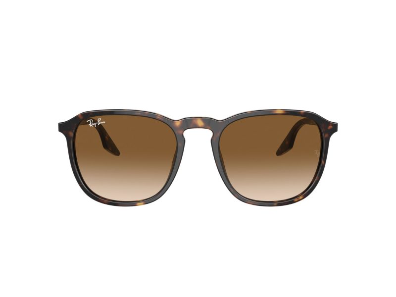 Ray-Ban Zonnebril RB 0RB2203 902/51