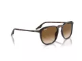 Ray-Ban Zonnebril RB 0RB2203 902/51