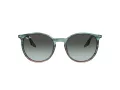 Ray-Ban Zonnebril RB 0RB2204 1394GK