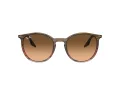 Ray-Ban Zonnebril RB 0RB2204 13953B