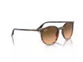 Ray-Ban Zonnebril RB 0RB2204 13953B
