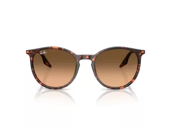 Ray-Ban Zonnebril RB 2204 14293B