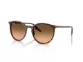 Ray-Ban Zonnebril RB 2204 14293B