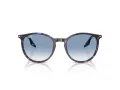 Ray-Ban Zonnebril RB 2204 14303F