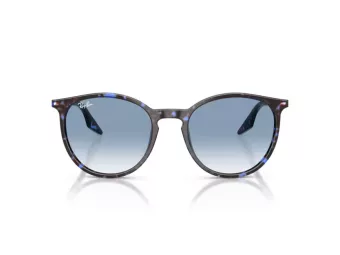 Ray-Ban Zonnebril RB 2204 14303F