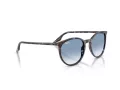 Ray-Ban Zonnebril RB 2204 14303F
