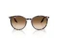 Ray-Ban Zonnebril RB 2204 143151
