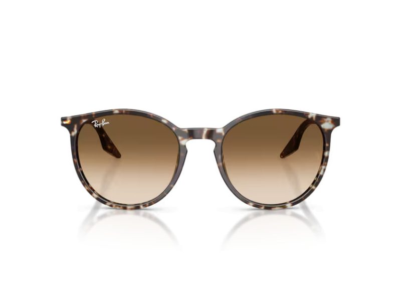 Ray-Ban Zonnebril RB 2204 143151