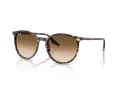 Ray-Ban Zonnebril RB 2204 143151