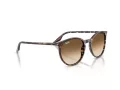 Ray-Ban Zonnebril RB 2204 143151