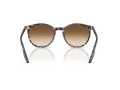 Ray-Ban Zonnebril RB 2204 143151