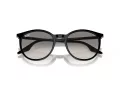 Ray-Ban Zonnebril RB 0RB2204 901/32