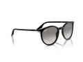 Ray-Ban Zonnebril RB 0RB2204 901/32