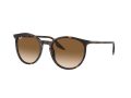 Ray-Ban Zonnebril RB 0RB2204 902/51
