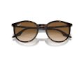 Ray-Ban Zonnebril RB 0RB2204 902/51