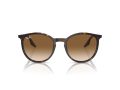 Ray-Ban Zonnebril RB 0RB2204 902/51