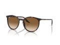 Ray-Ban Zonnebril RB 0RB2204 902/51