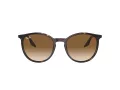 Ray-Ban Zonnebril RB 0RB2204 902/51