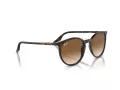 Ray-Ban Zonnebril RB 0RB2204 902/51