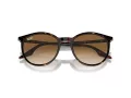Ray-Ban Zonnebril RB 0RB2204 902/51