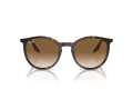 Ray-Ban Zonnebril RB 0RB2204 902/51