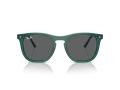 Ray-Ban Zonnebril RB 2210 6615B1
