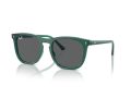 Ray-Ban Zonnebril RB 2210 6615B1