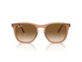 Ray-Ban Zonnebril RB 2210 676451