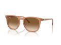 Ray-Ban Zonnebril RB 2210 676451