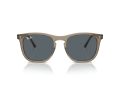 Ray-Ban Zonnebril RB 2210 6765R5
