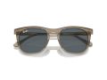 Ray-Ban Zonnebril RB 2210 6765R5