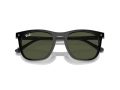 Ray-Ban Zonnebril RB 2210 901/31