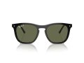 Ray-Ban Zonnebril RB 2210 901/58