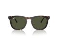 Ray-Ban Zonnebril RB 2210 902/31