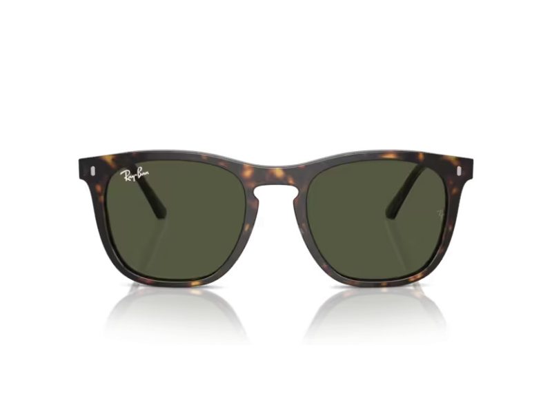 Ray-Ban Zonnebril RB 2210 902/31