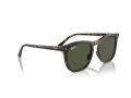 Ray-Ban Zonnebril RB 2210 902/31