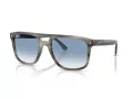 Ray-Ban Zonnebril RB 2213 14243F