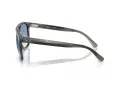 Ray-Ban Zonnebril RB 2213 14243F