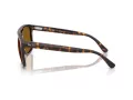 Ray-Ban Zonnebril RB 2213 902/33