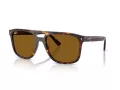 Ray-Ban Zonnebril RB 2213 902/33