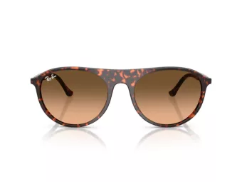 Ray-Ban Zonnebril RB 2215 14293B